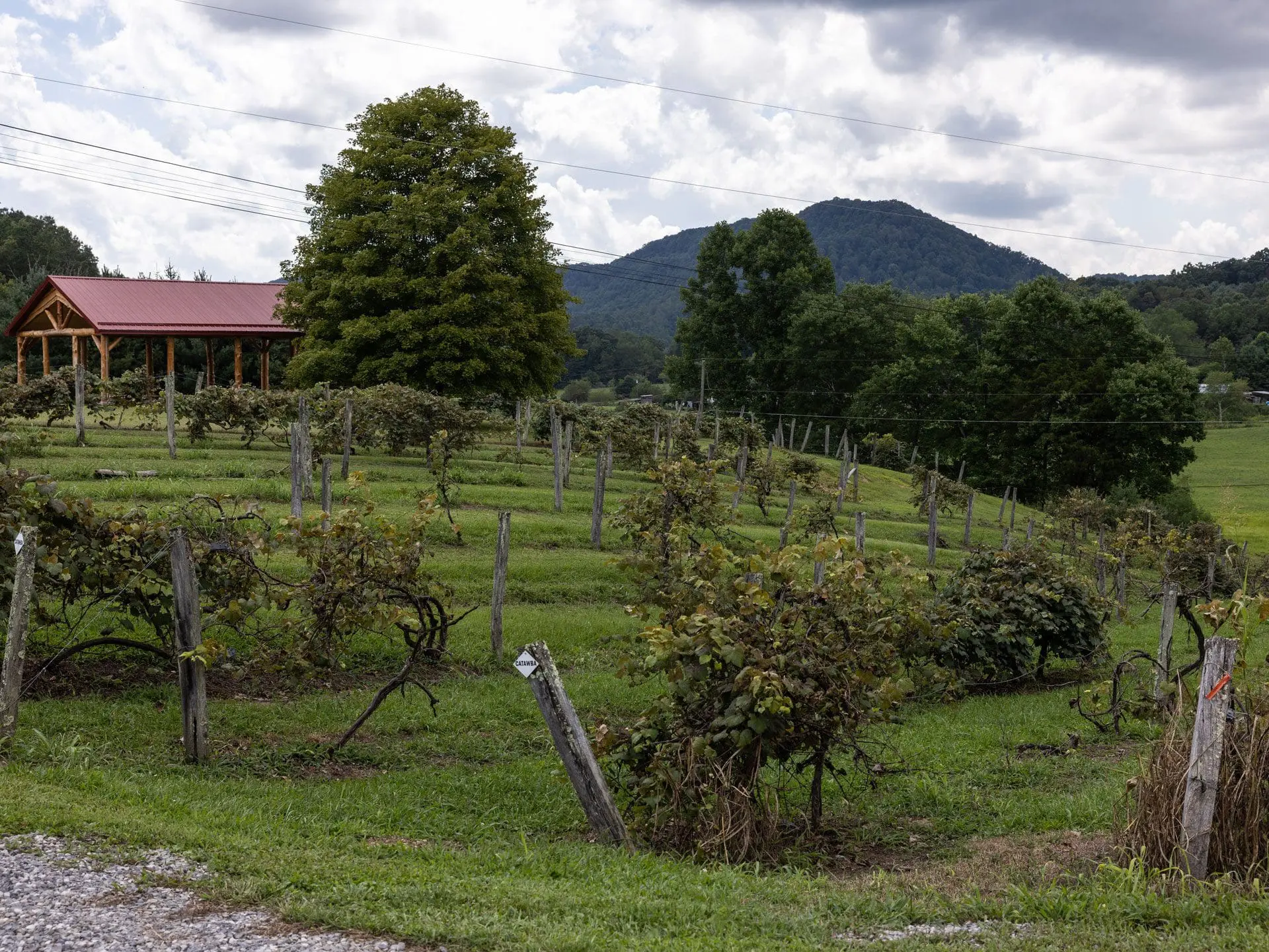 Kirkwood Winery